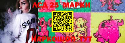 прущие крисы Кингисепп