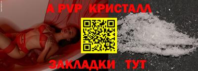 прущие крисы Кингисепп