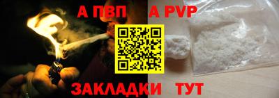 прущие крисы Кингисепп