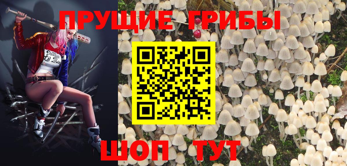 Кубинка  Галлюциногенные грибы прущие грибы  Вход с VPN 